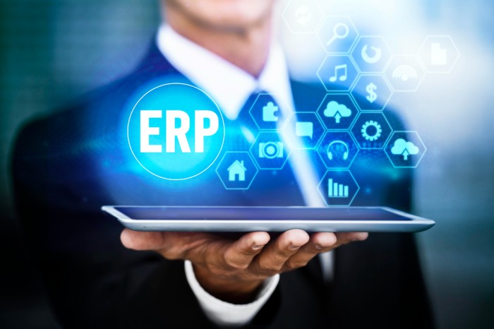 Enterprise resource planning holographic interface